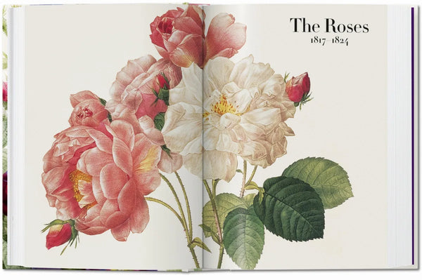 Redouté: The Book of Flowers - Phoenix Art Museum