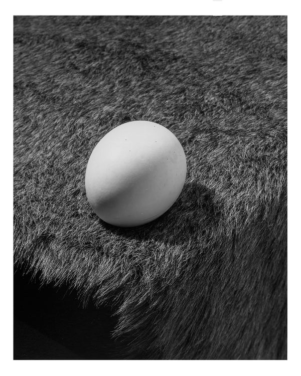 Jo Ann Callis: Dish Trick - Phoenix Art Museum