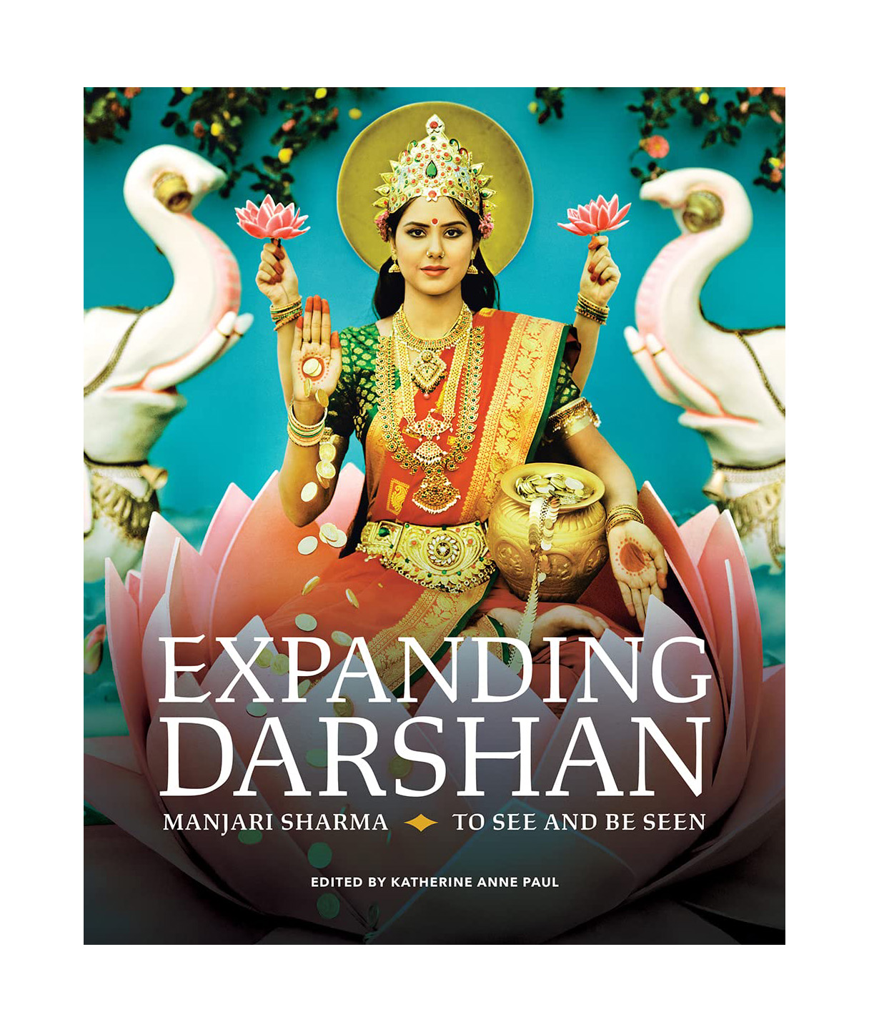 Expanding Darshan