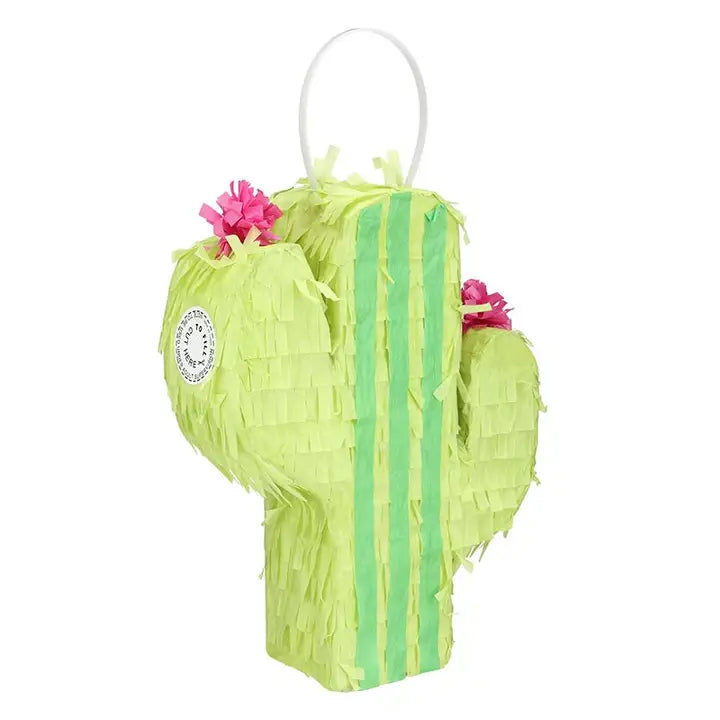 Petite Cactus Pinata