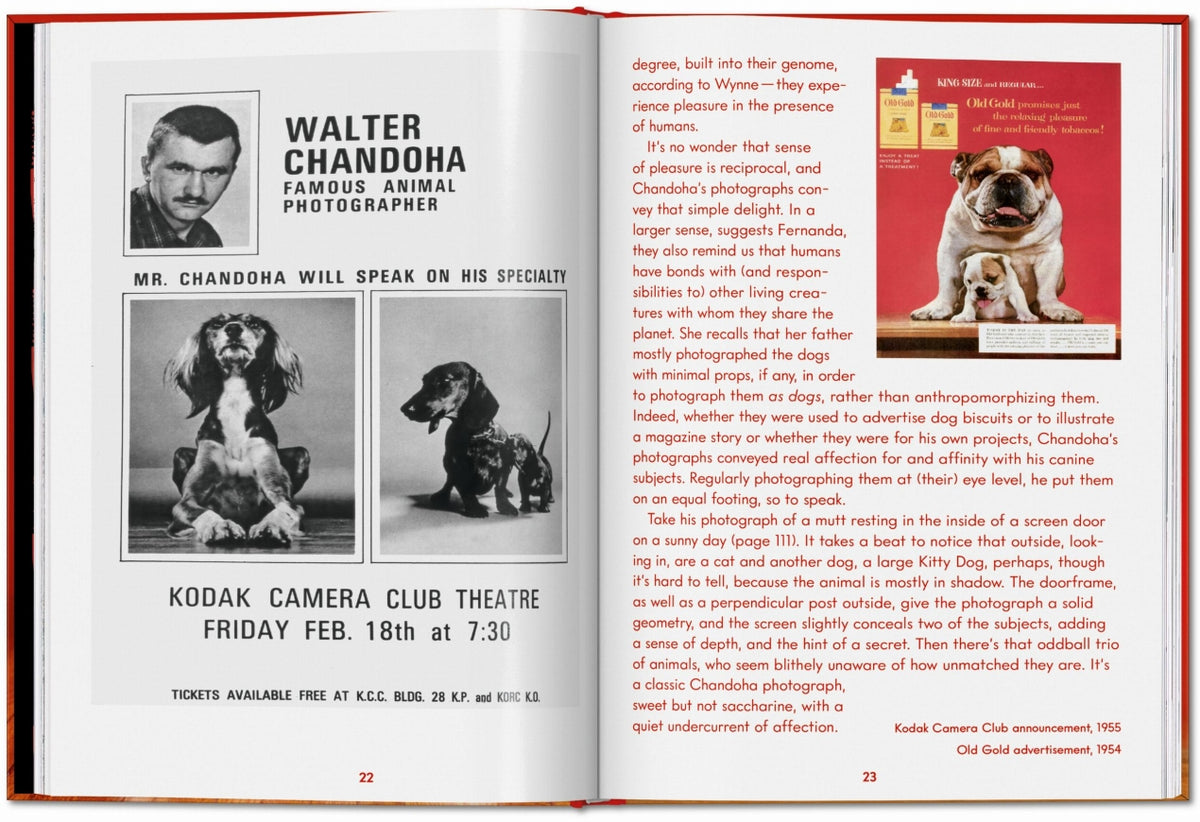 Dogs: Photographs 1941-1991