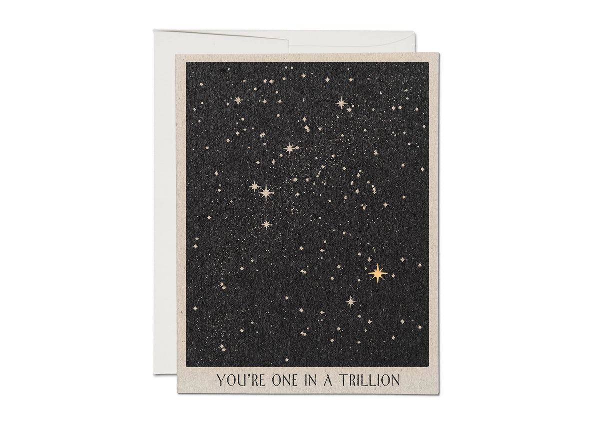 One in A Trillion Friendship Greeting Card