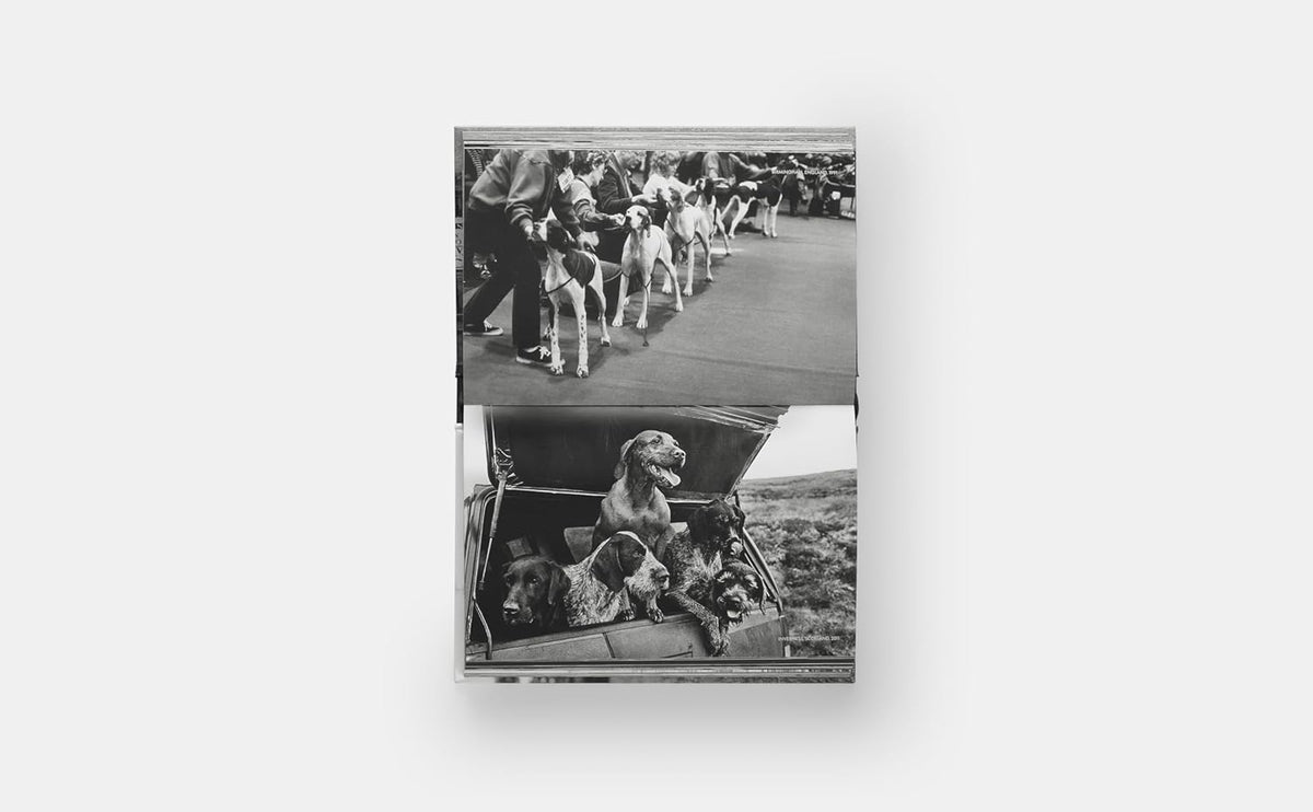 DogsDogs Elliott Erwitt