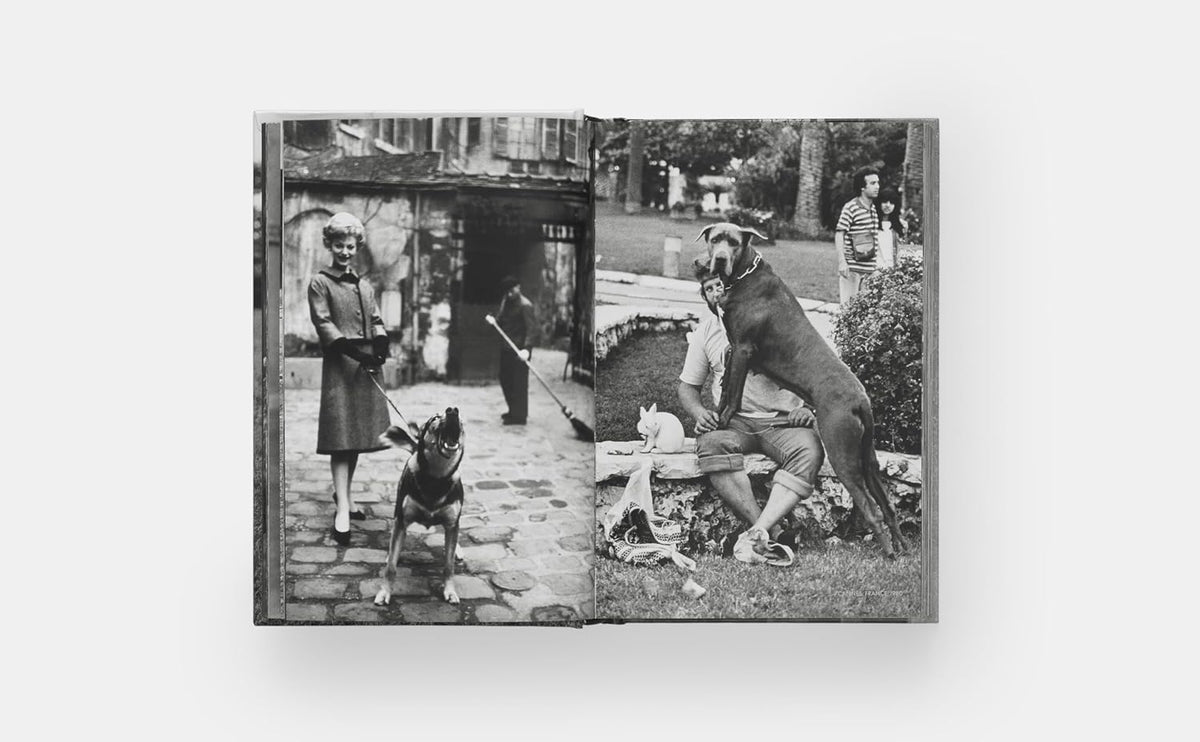 DogsDogs Elliott Erwitt