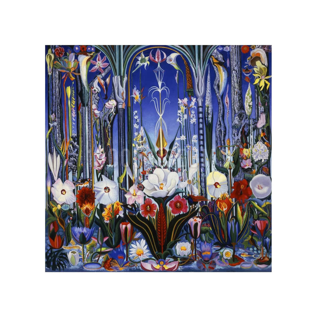 Carte postale Stella Flowers, Italie 4x6