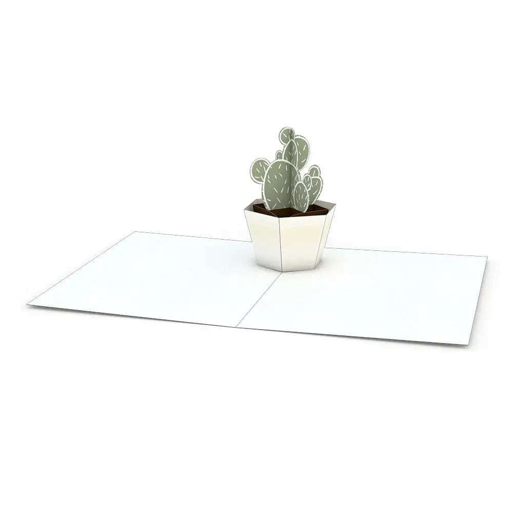 Succulent Pop-up Notecards 4-Pack