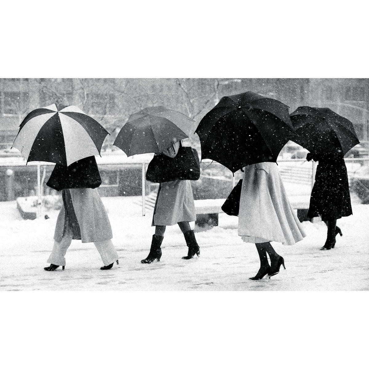 Bill Cunningham On the Street: Five Decades of Iconic Photography