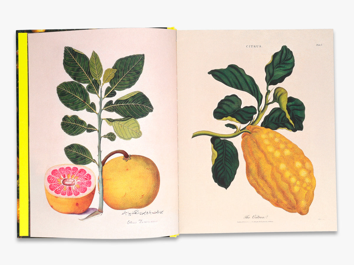 Citrus: A World History
