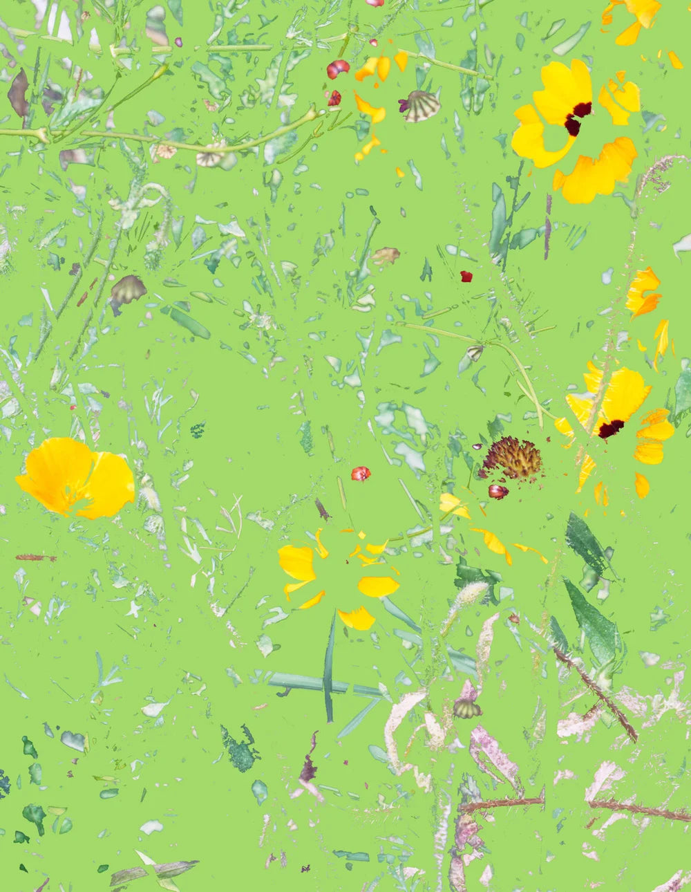 Aaron Rothman: Signal Noise