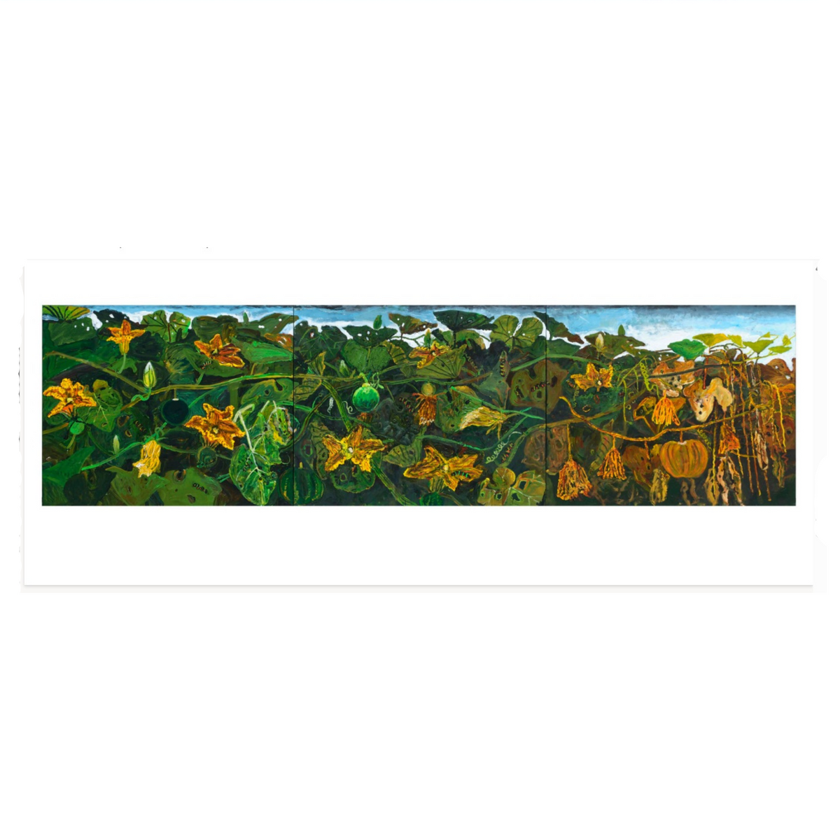Kim Chong Hak Exhibition Panoramic Postcards
