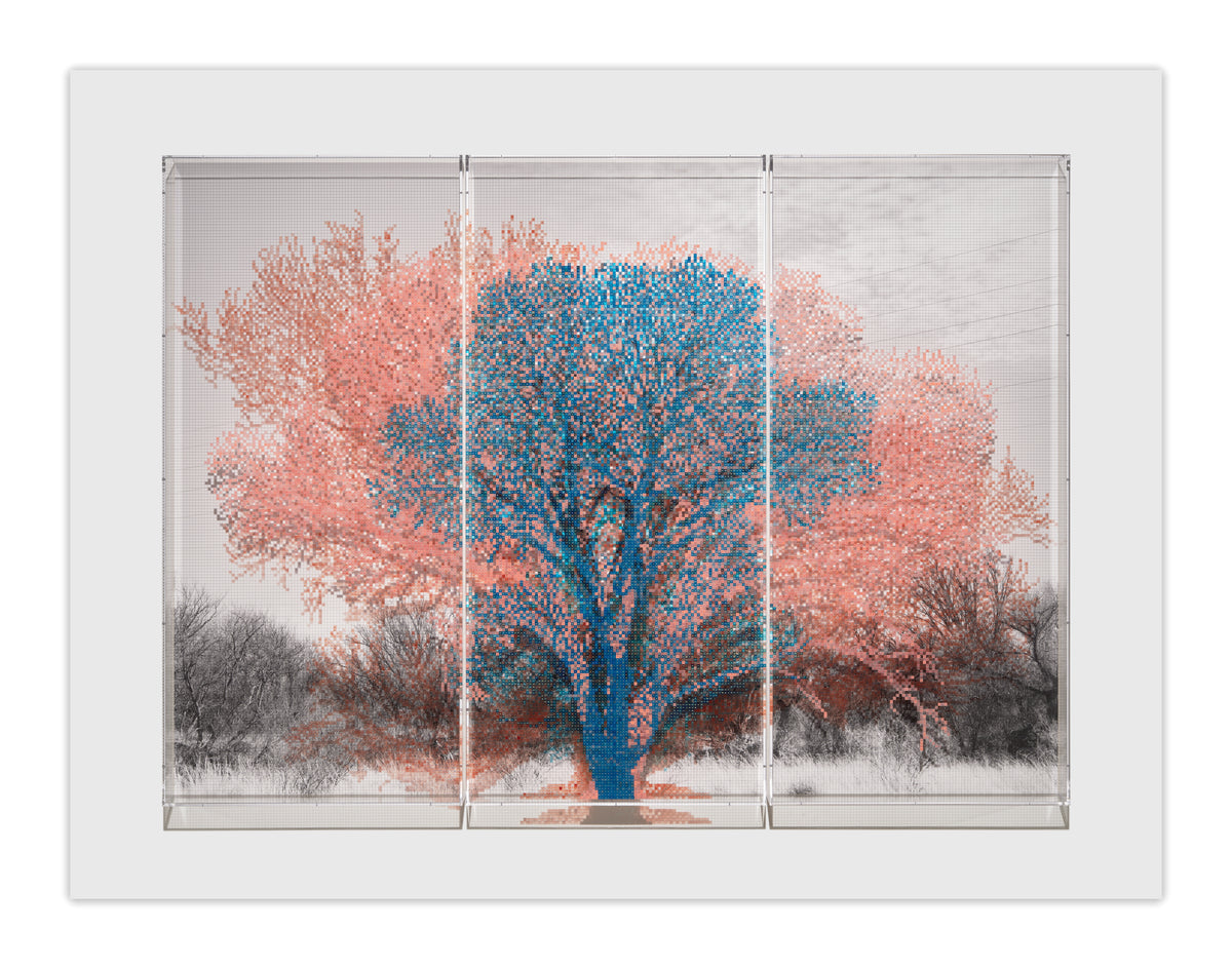 Charles Gaines Numbers and Trees: Arizona Series 1, Tree #3, Agua Caliente Print