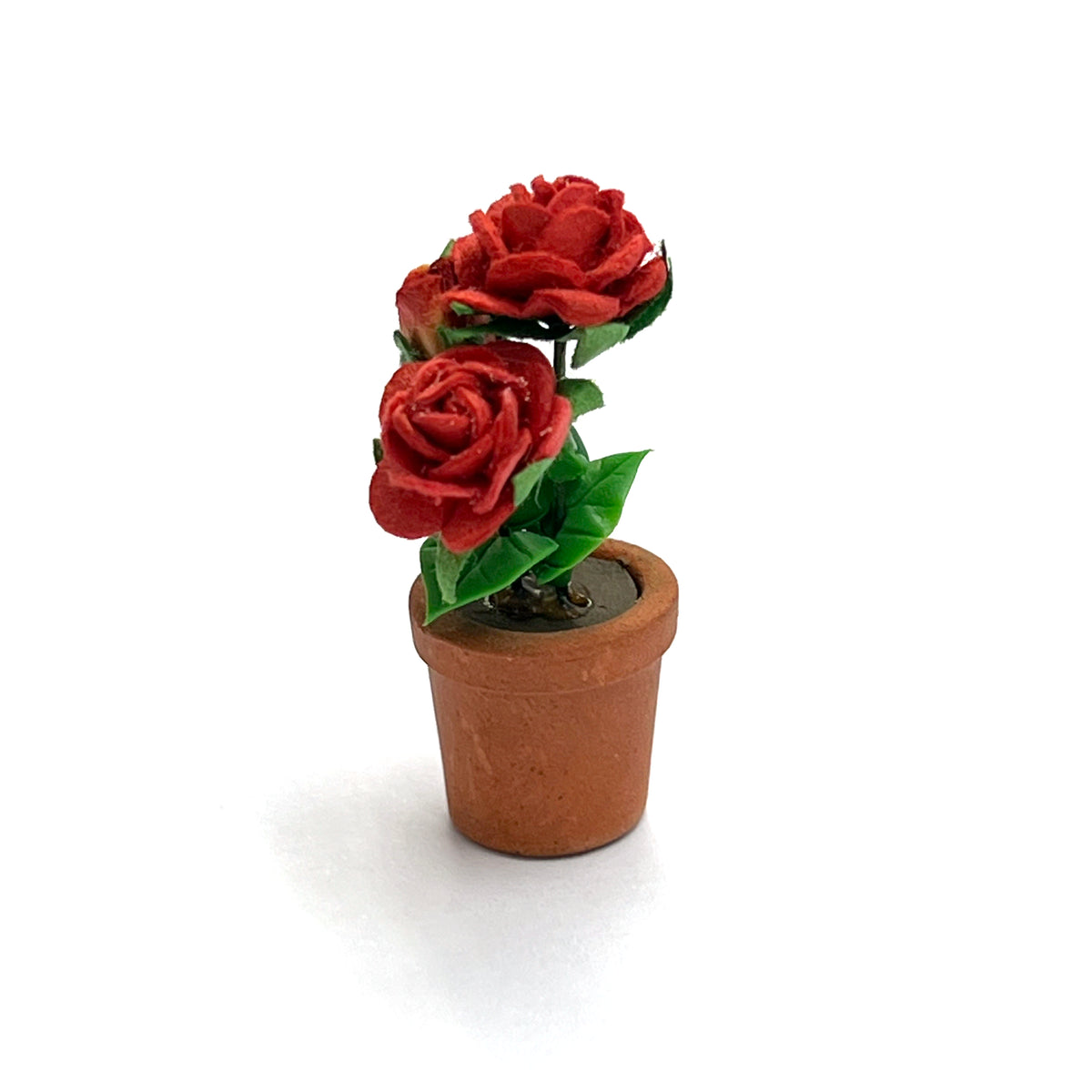 Miniature Pot of Red Roses