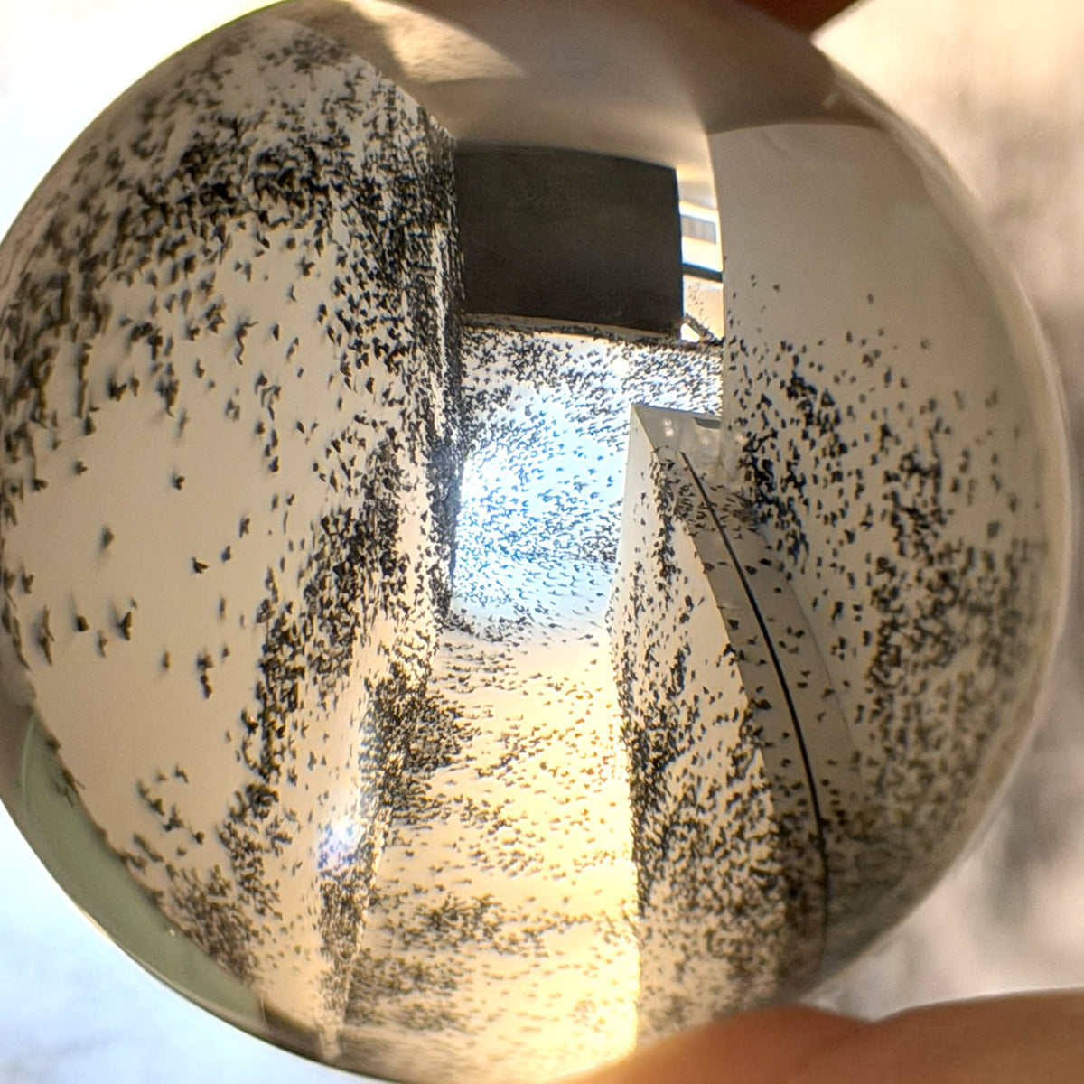 Clear Crystal Sphere Photography Lens Ball