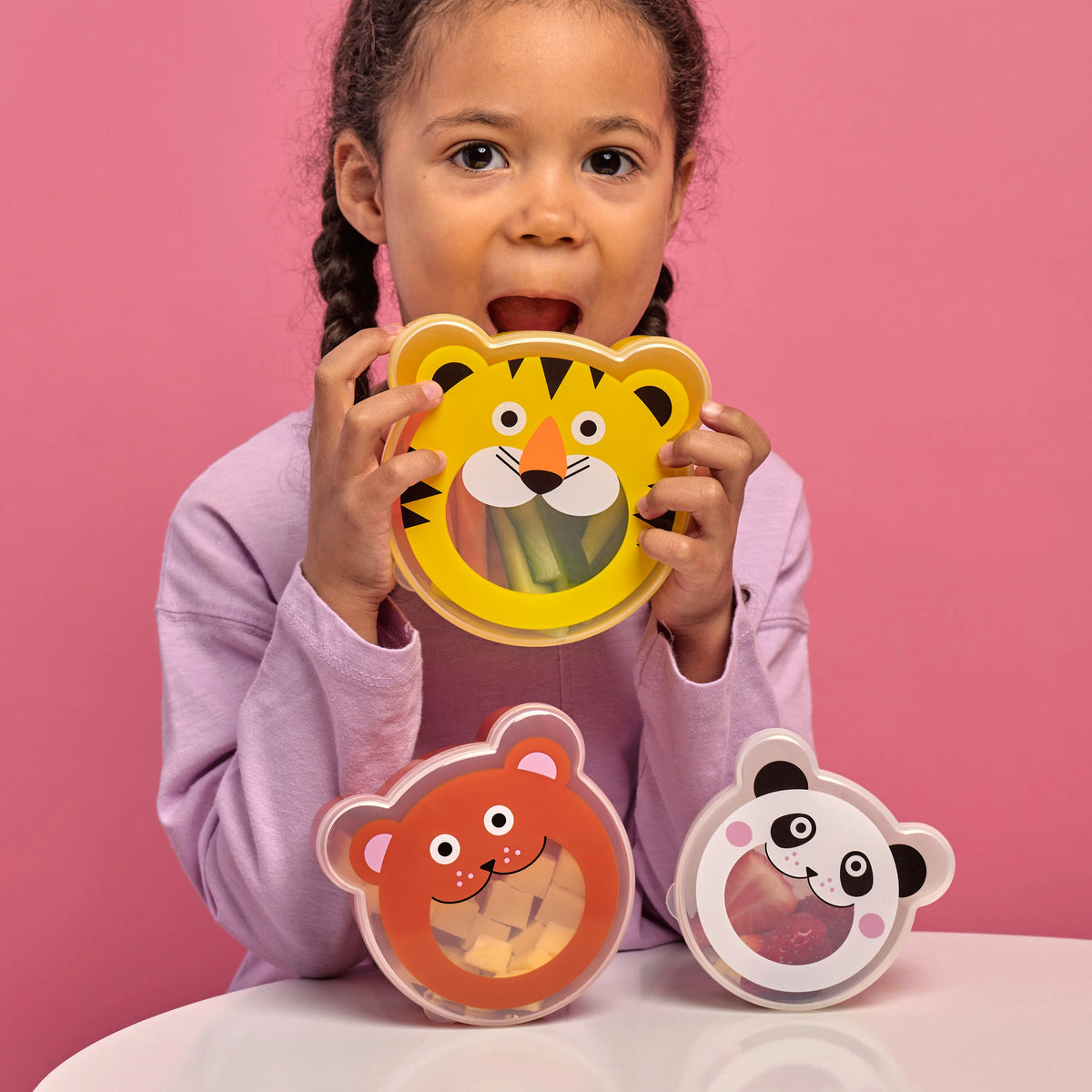 On the Go Animal Snack Boxes