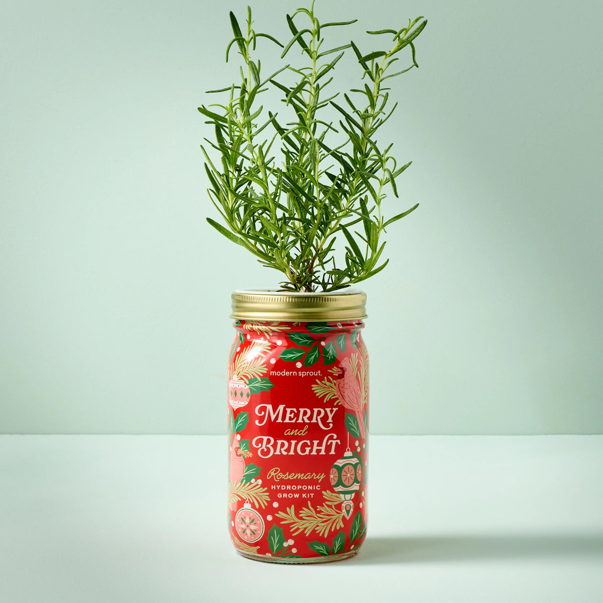 Holiday Garden Jars