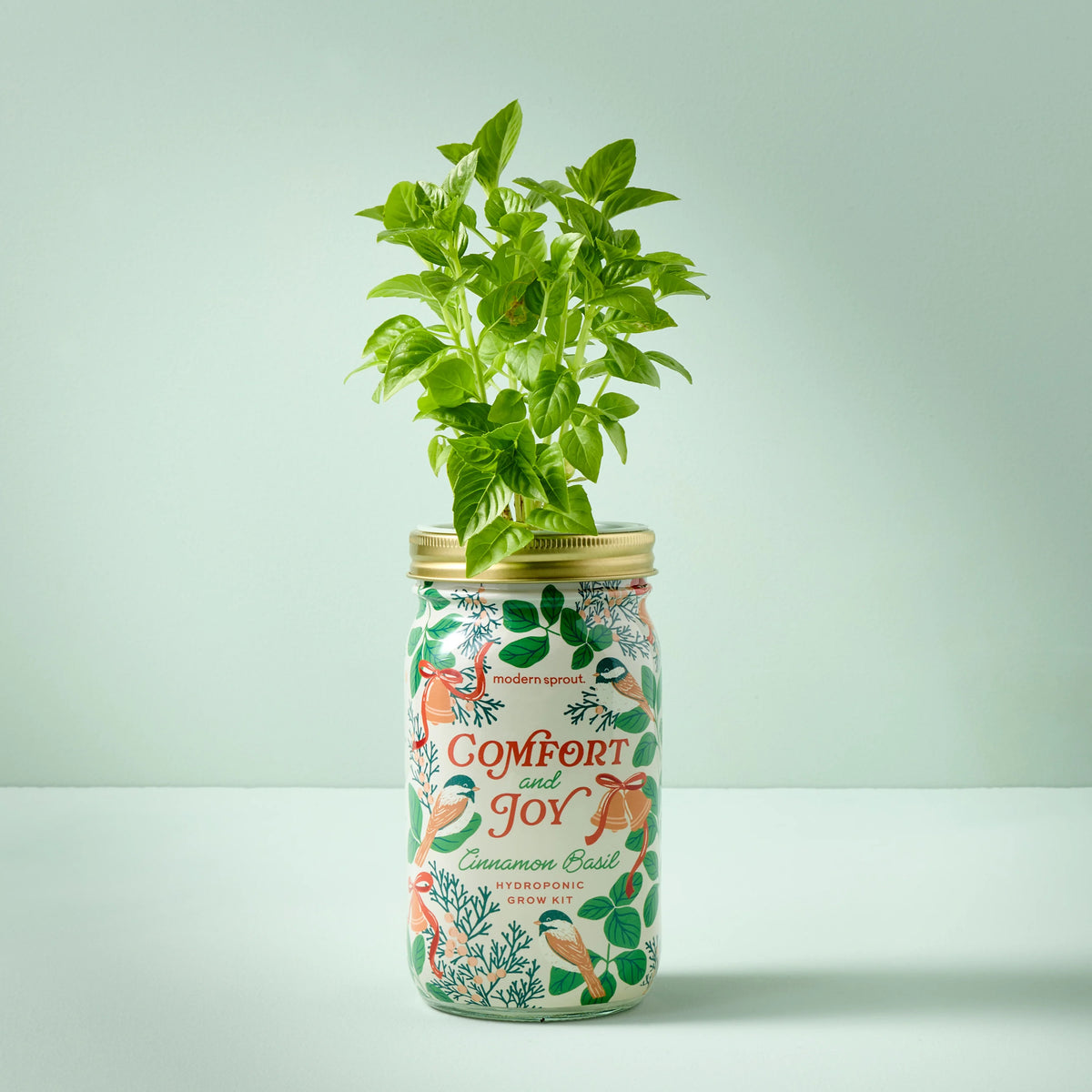 Holiday Garden Jars