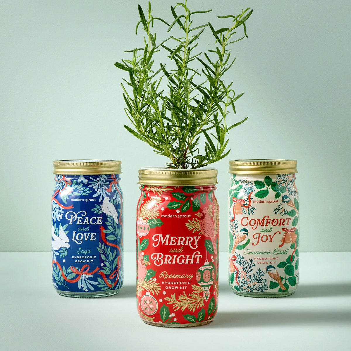 Holiday Garden Jars