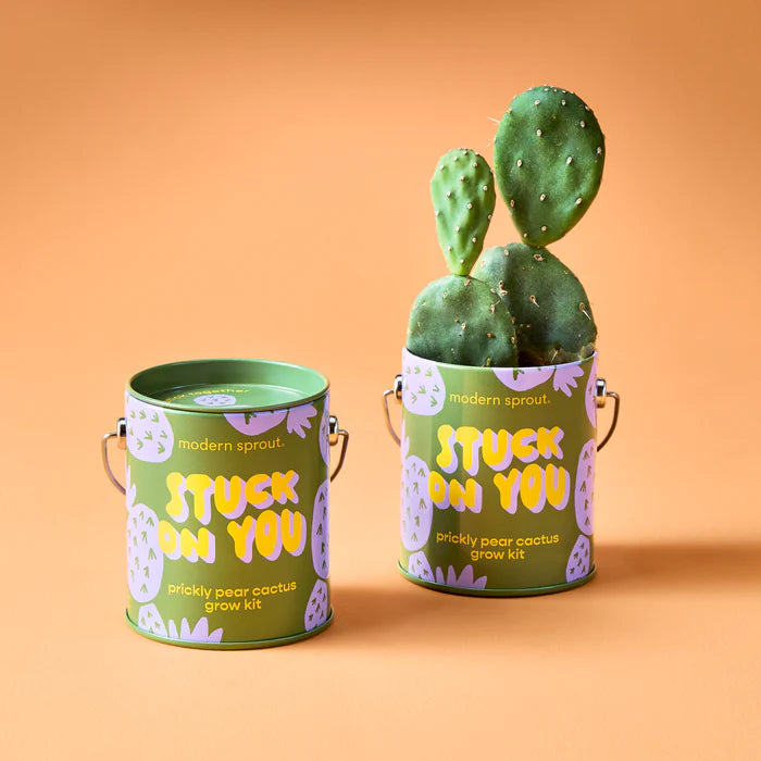 Prickly Pear Cactus Grow Kit