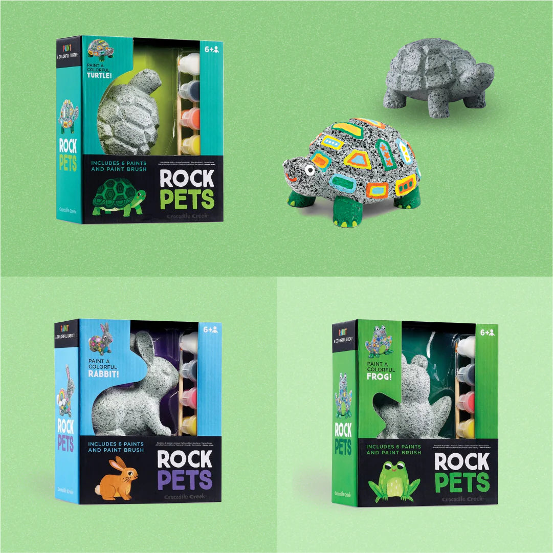 Paintable Rock Pets