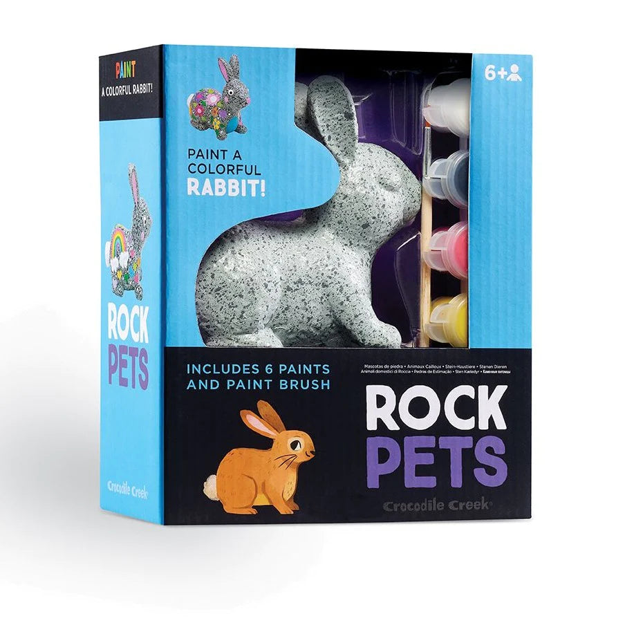 Paintable Rock Pets