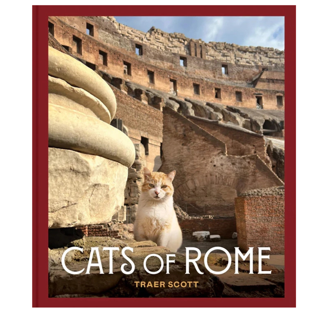 Les chats de Rome