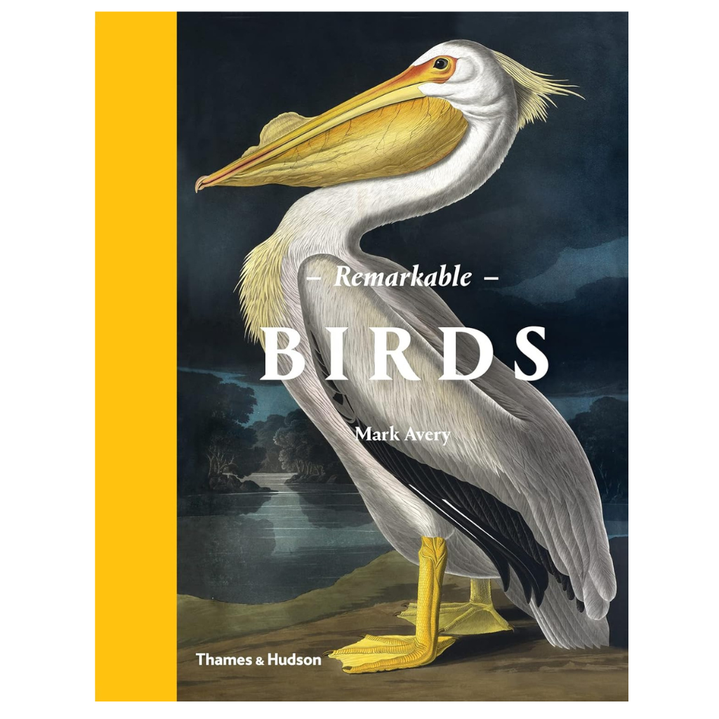 Remarkable Birds