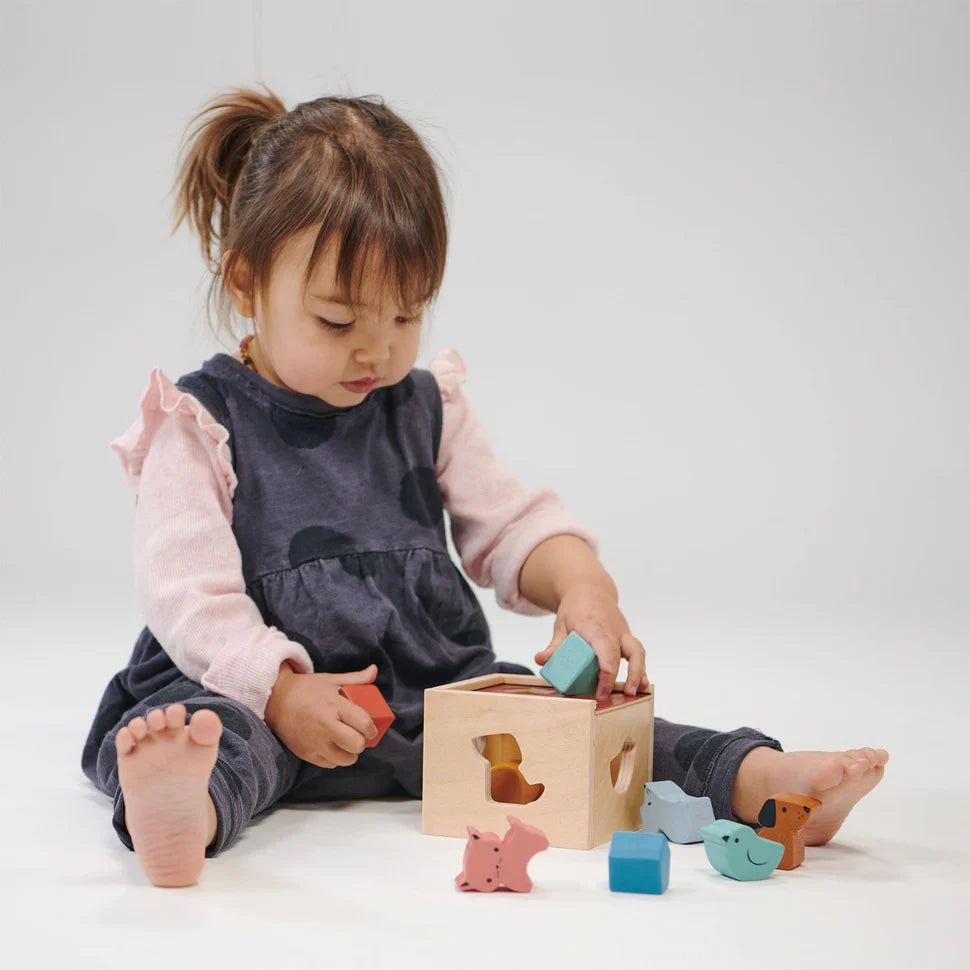 Bambino Shape Sorting Cube