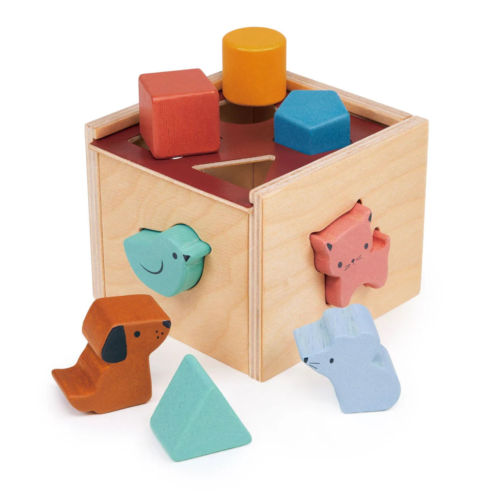 Bambino Shape Sorting Cube