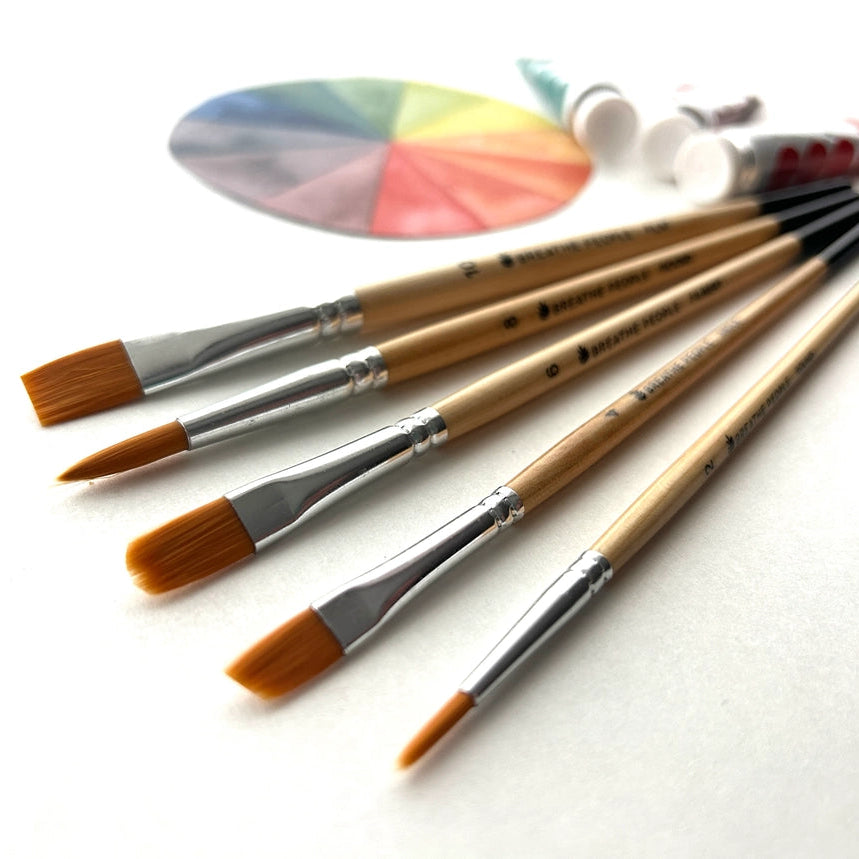 5 Piece Artist Brush Set