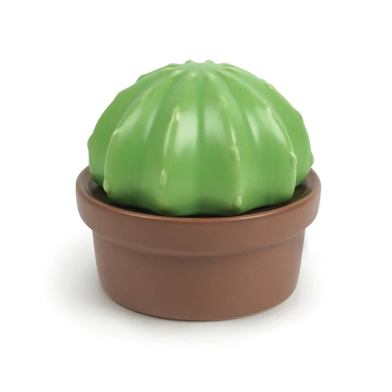 House Plant Cactus Butter Storage
