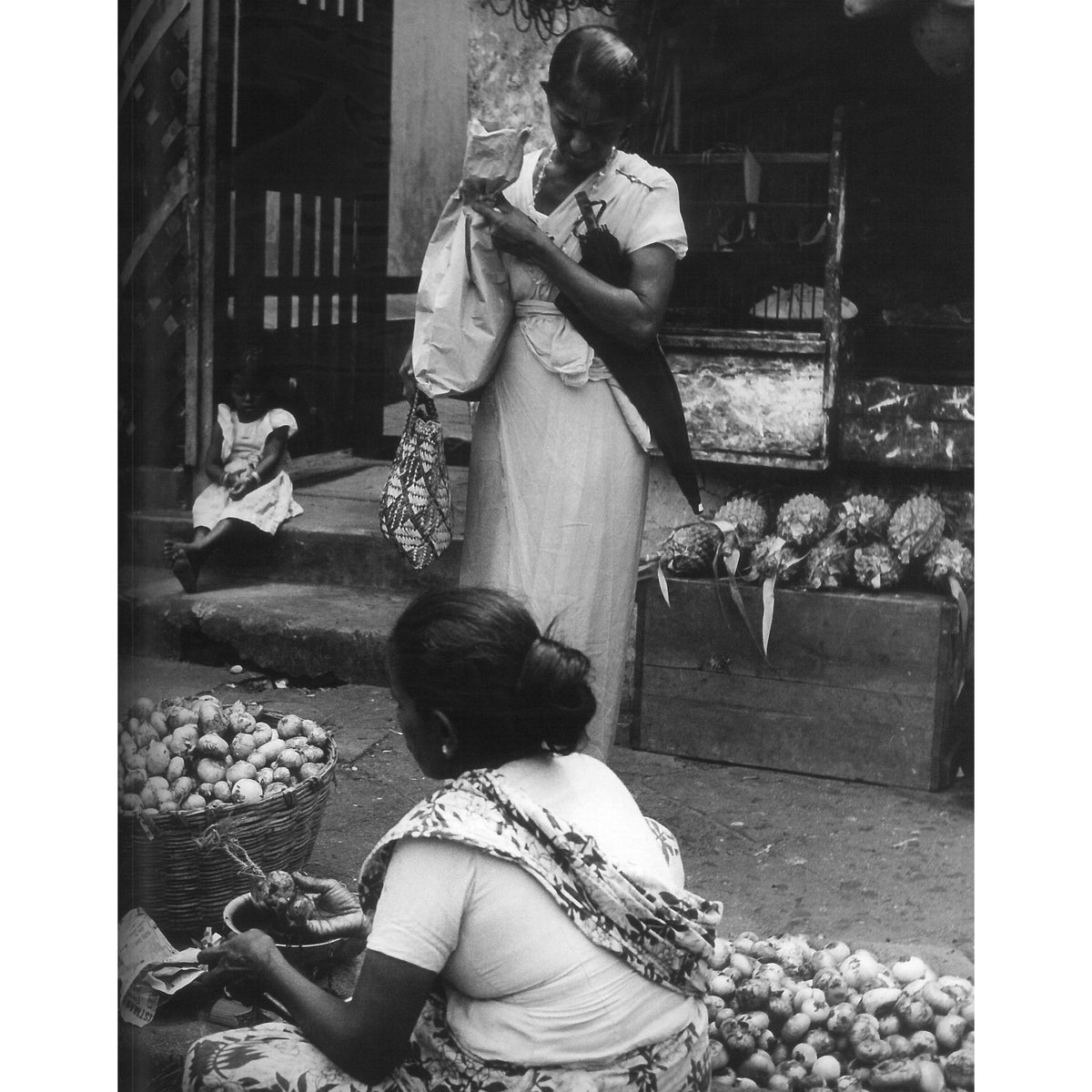 Mist and Rain: A Photographic Journey Through Ceylon