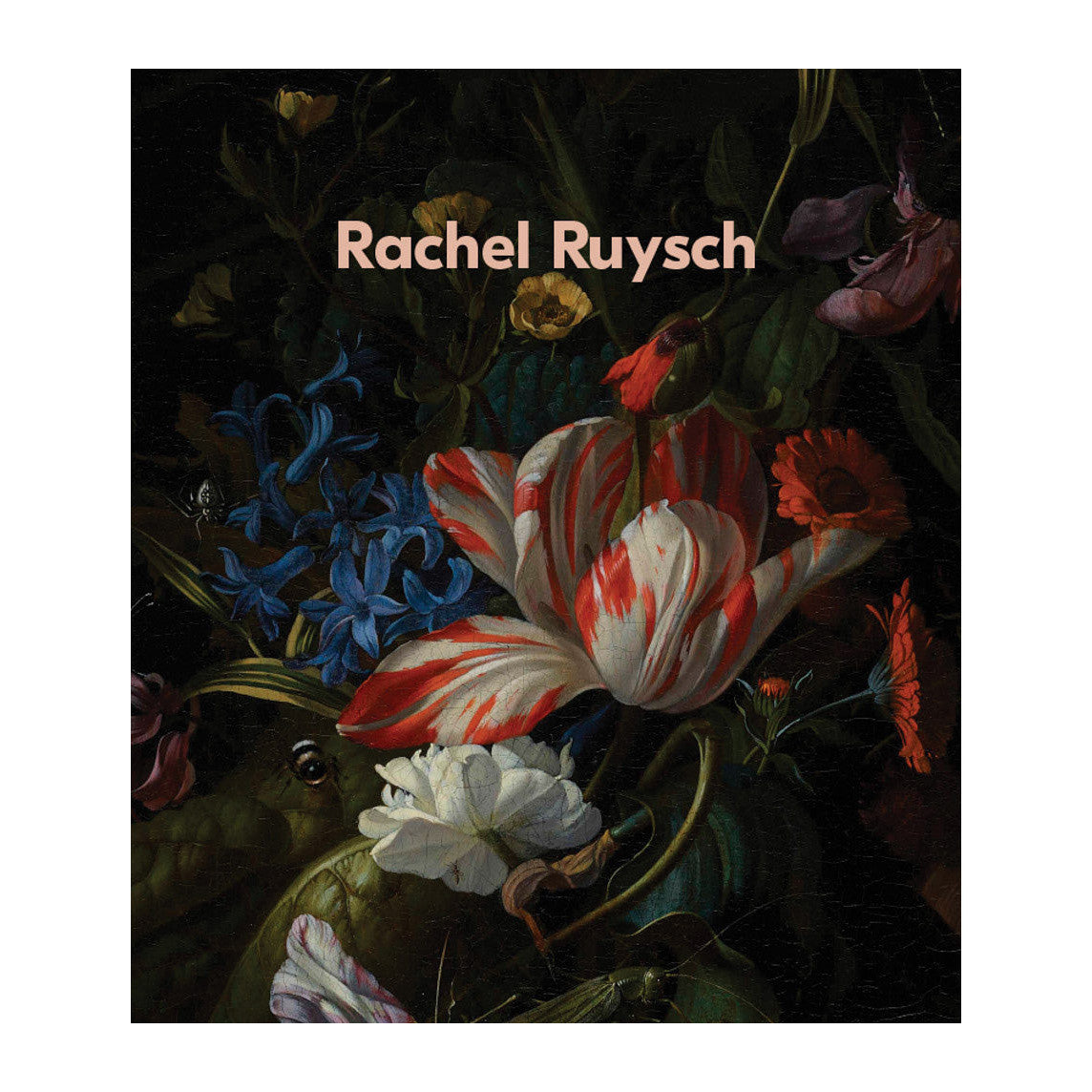 Rachel Ruysch: Nature into Art