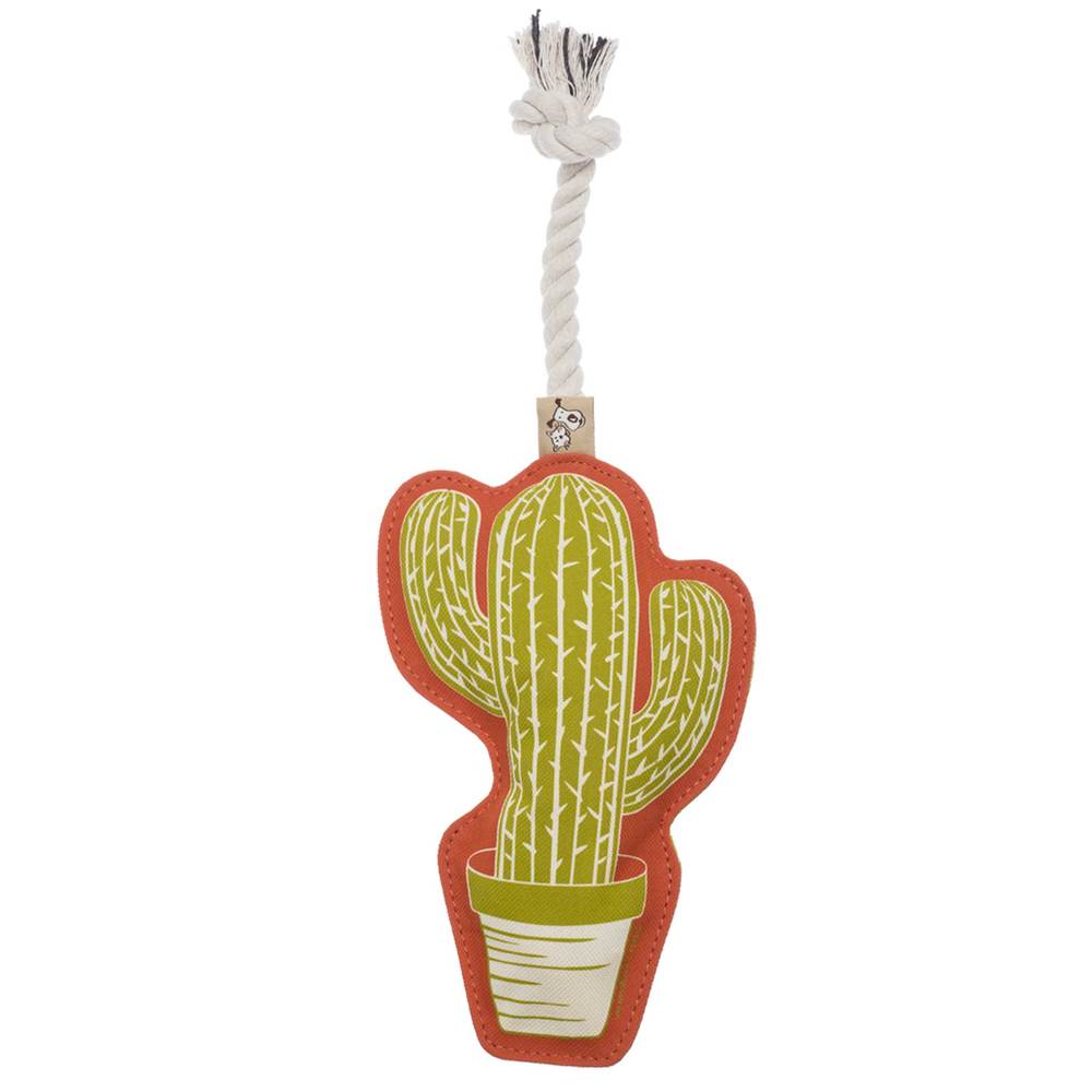 Pet Toy Rope Cactus