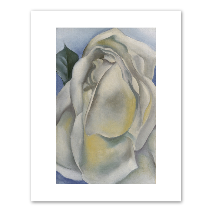 Georgia O&#39;Keeffe &quot;White Rose&quot; Print