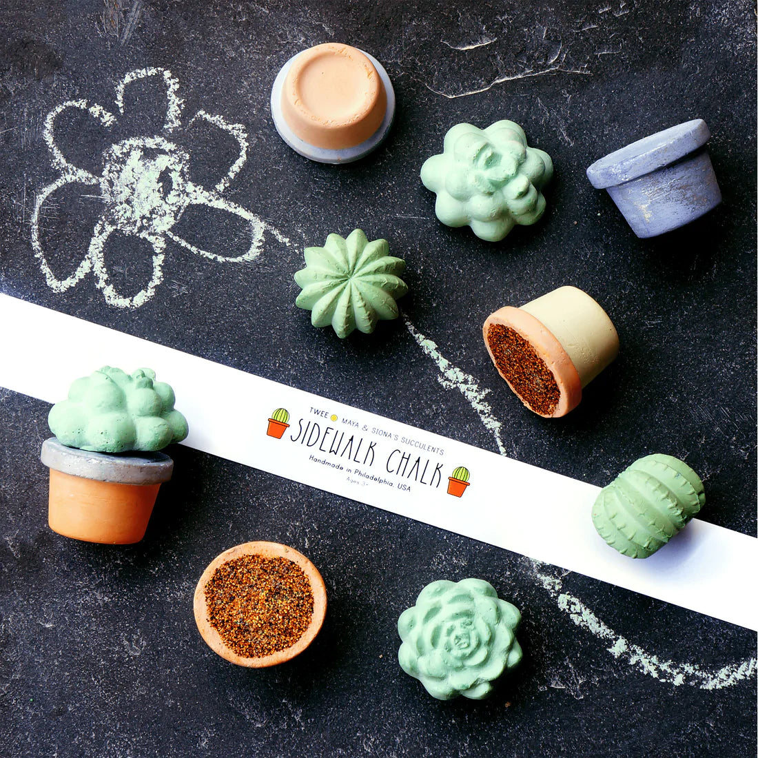 Succulent Sidewalk Chalk